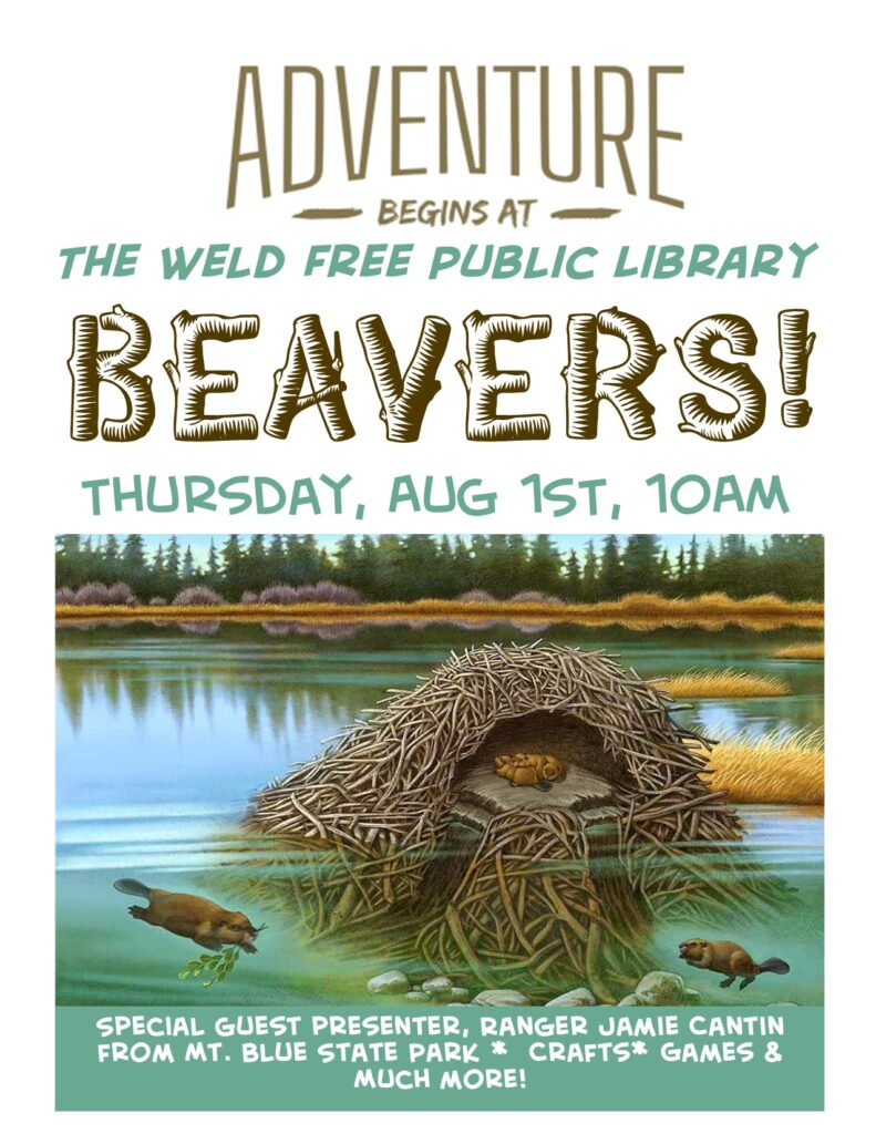 Beavers Adventure