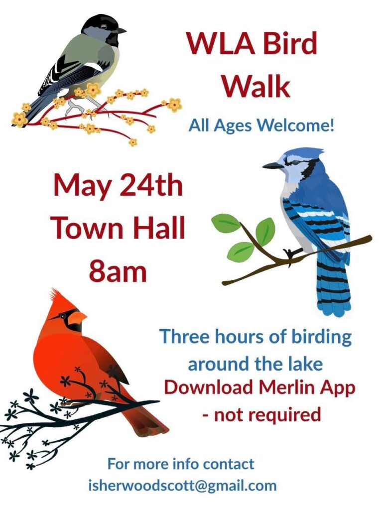 WLA Bird Walk